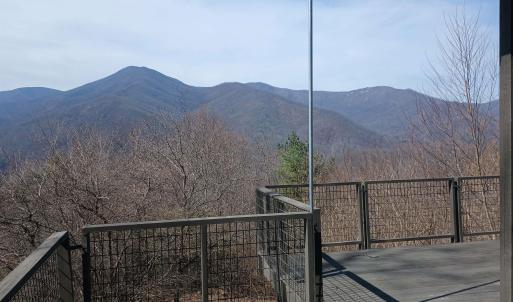 Photo #14 of 1215 BATTERY HILL LN, TYRO, VA 37.1 acres