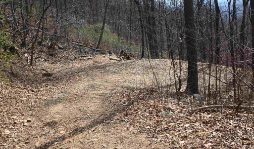 Photo #38 of 1215 BATTERY HILL LN, TYRO, VA 37.1 acres