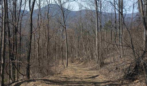 Photo #8 of 1215 BATTERY HILL LN, TYRO, VA 37.1 acres