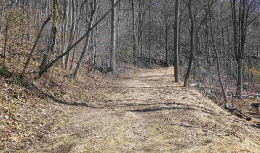 Photo #6 of 1215 BATTERY HILL LN, TYRO, VA 37.1 acres
