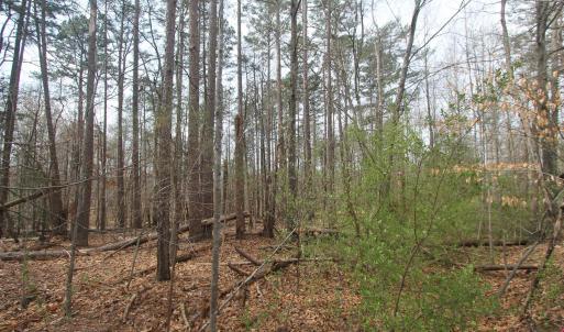 Photo #4 of TBD SULPHUR MINE RD, CHARLOTTESVILLE, VA 1.7 acres
