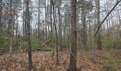 Photo #1 of TBD SULPHUR MINE RD, CHARLOTTESVILLE, VA 1.7 acres