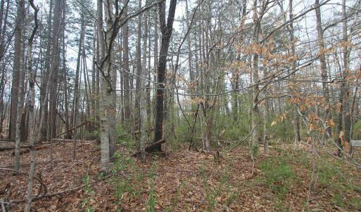 Photo #3 of TBD SULPHUR MINE RD, CHARLOTTESVILLE, VA 1.7 acres