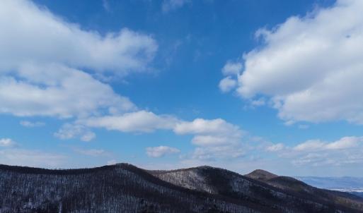 Photo #1 of TBD CUBBAGE HOLLOW RD, STANLEY, VA 40.6 acres