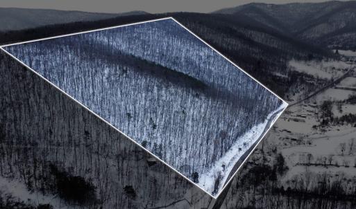 Photo #2 of TBD CUBBAGE HOLLOW RD, STANLEY, VA 40.6 acres