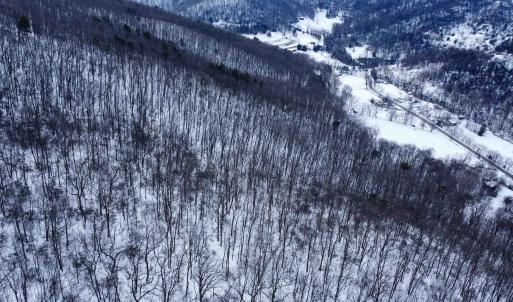 Photo #18 of TBD CUBBAGE HOLLOW RD, STANLEY, VA 40.6 acres