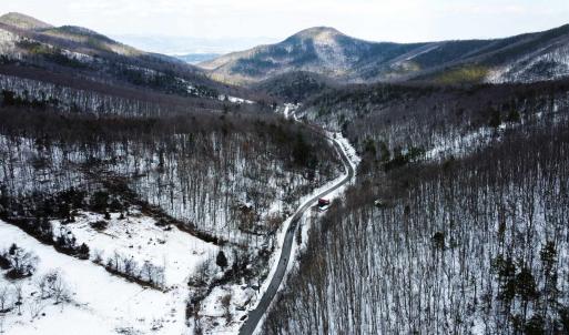 Photo #20 of TBD CUBBAGE HOLLOW RD, STANLEY, VA 40.6 acres