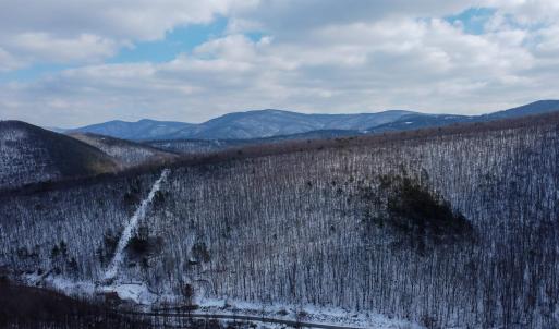 Photo #22 of TBD CUBBAGE HOLLOW RD, STANLEY, VA 40.6 acres