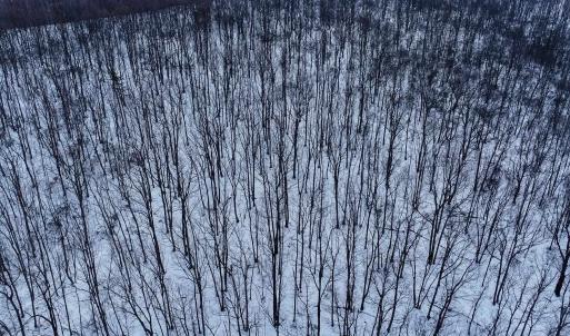 Photo #12 of TBD CUBBAGE HOLLOW RD, STANLEY, VA 40.6 acres