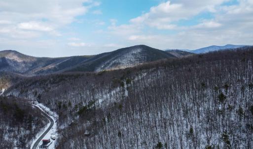 Photo #14 of TBD CUBBAGE HOLLOW RD, STANLEY, VA 40.6 acres