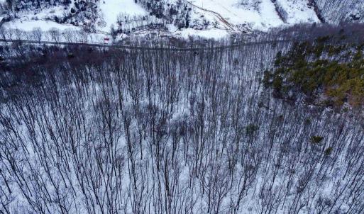 Photo #16 of TBD CUBBAGE HOLLOW RD, STANLEY, VA 40.6 acres