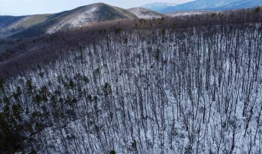 Photo #6 of TBD CUBBAGE HOLLOW RD, STANLEY, VA 40.6 acres