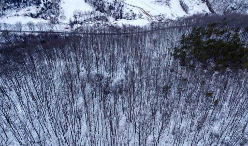 Photo #19 of TBD CUBBAGE HOLLOW RD, STANLEY, VA 40.6 acres