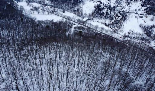 Photo #30 of TBD CUBBAGE HOLLOW RD, STANLEY, VA 40.6 acres