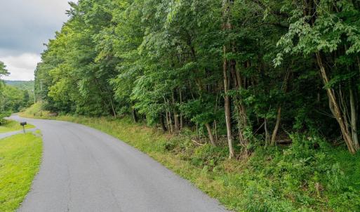 Photo #13 of TBD CUBBAGE HOLLOW RD, STANLEY, VA 40.6 acres