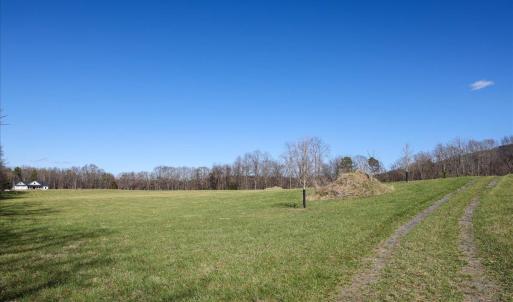 Photo #17 of TBD TADPOLE LN, GREENVILLE, VA 8.5 acres