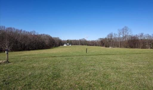 Photo #21 of TBD TADPOLE LN, GREENVILLE, VA 8.5 acres