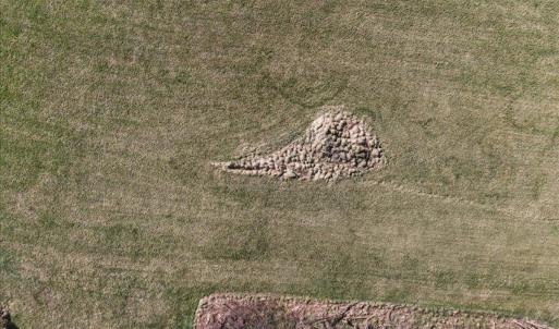 Photo #10 of TBD TADPOLE LN, GREENVILLE, VA 8.5 acres