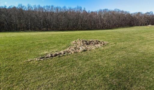 Photo #9 of TBD TADPOLE LN, GREENVILLE, VA 8.5 acres