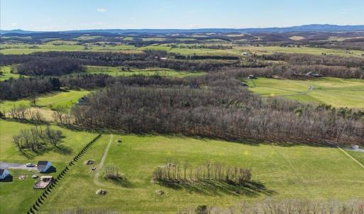 Photo #4 of TBD TADPOLE LN, GREENVILLE, VA 8.5 acres