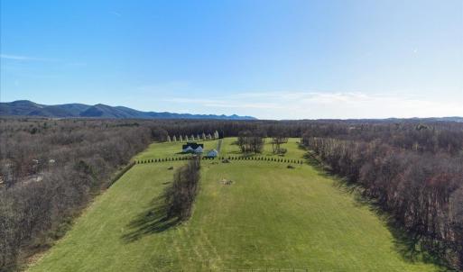Photo #7 of TBD TADPOLE LN, GREENVILLE, VA 8.5 acres