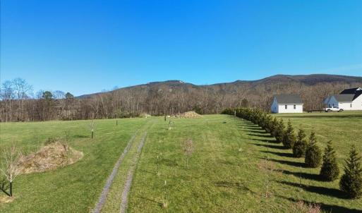 Photo #14 of TBD TADPOLE LN, GREENVILLE, VA 8.5 acres