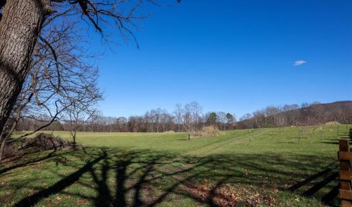 Photo #15 of TBD TADPOLE LN, GREENVILLE, VA 8.5 acres