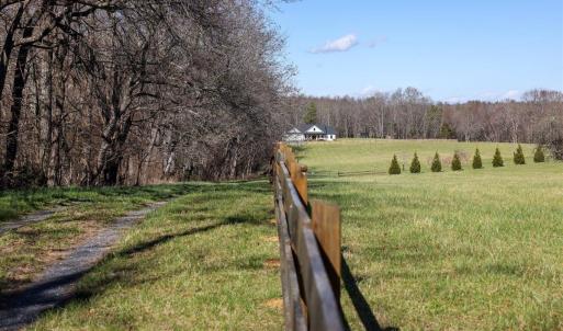 Photo #22 of TBD TADPOLE LN, GREENVILLE, VA 8.5 acres