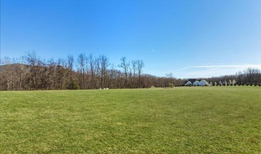 Photo #13 of TBD TADPOLE LN, GREENVILLE, VA 8.5 acres