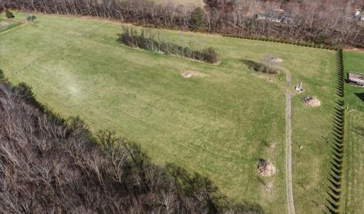 Photo #8 of TBD TADPOLE LN, GREENVILLE, VA 8.5 acres