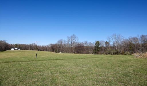 Photo #20 of TBD TADPOLE LN, GREENVILLE, VA 8.5 acres