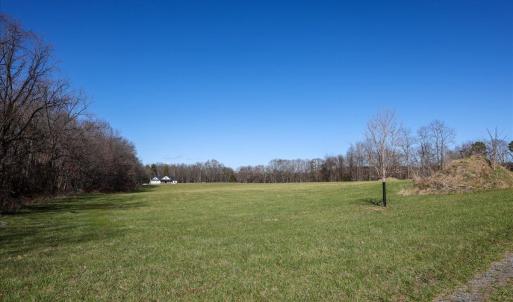 Photo #18 of TBD TADPOLE LN, GREENVILLE, VA 8.5 acres