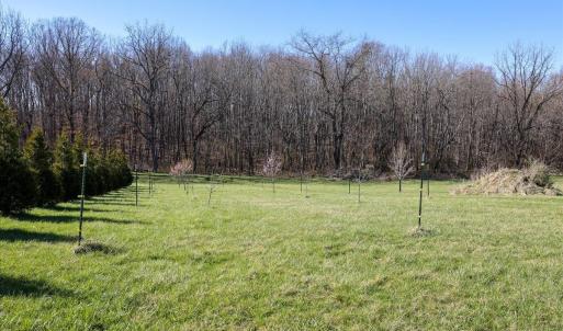 Photo #19 of TBD TADPOLE LN, GREENVILLE, VA 8.5 acres