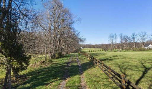 Photo #23 of TBD TADPOLE LN, GREENVILLE, VA 8.5 acres