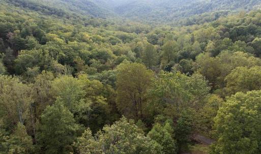 Photo #4 of TBD CHERRY GROVE LN, AFTON, VA 2.2 acres