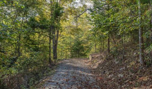 Photo #5 of TBD CHERRY GROVE LN, AFTON, VA 2.2 acres