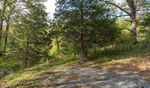 Photo #11 of TBD CHERRY GROVE LN, AFTON, VA 2.2 acres