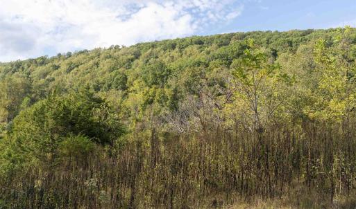 Photo #9 of TBD CHERRY GROVE LN, AFTON, VA 2.2 acres