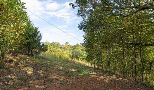 Photo #1 of TBD CHERRY GROVE LN, AFTON, VA 2.2 acres
