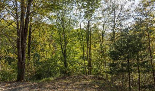 Photo #7 of TBD CHERRY GROVE LN, AFTON, VA 2.2 acres