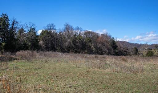 Photo #9 of MIDDLE RIVER RD, STANARDSVILLE, VA 13.0 acres