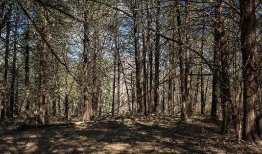 Photo #4 of MIDDLE RIVER RD, STANARDSVILLE, VA 13.0 acres