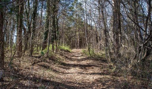 Photo #5 of MIDDLE RIVER RD, STANARDSVILLE, VA 13.0 acres