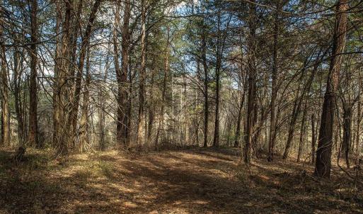 Photo #3 of MIDDLE RIVER RD, STANARDSVILLE, VA 13.0 acres