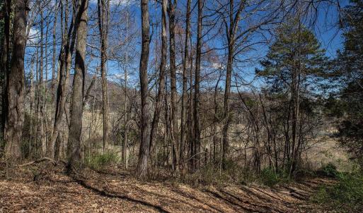 Photo #1 of MIDDLE RIVER RD, STANARDSVILLE, VA 13.0 acres