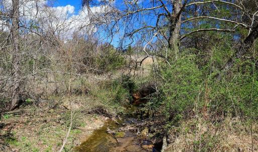 The creek runs along one of the property's boundaries.