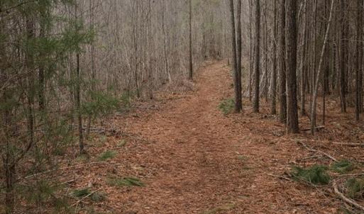 Photo #16 of JEFFERSON HWY, BUMPASS, VA 12.6 acres