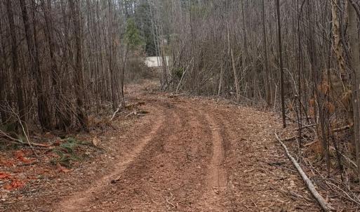 Photo #15 of JEFFERSON HWY, BUMPASS, VA 12.6 acres