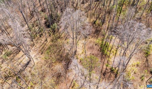 Photo #9 of JEFFERSON HWY, BUMPASS, VA 12.6 acres