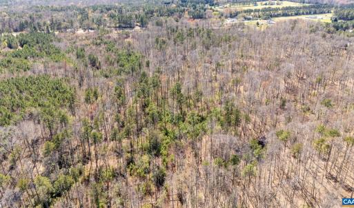 Photo #6 of JEFFERSON HWY, BUMPASS, VA 12.6 acres